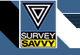 surveysavvy.gif